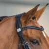 Fairfax Headpiece - Double Bridle -Saddle Shop 247