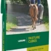 D&H Pasture Cubes -Saddle Shop 5257