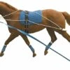 Kincade Lunging Training System -Saddle Shop 645