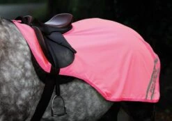 Saddle Shop -Saddle Shop 9204b