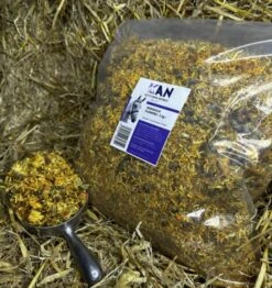 Natraliving Horse Marigold Flowers