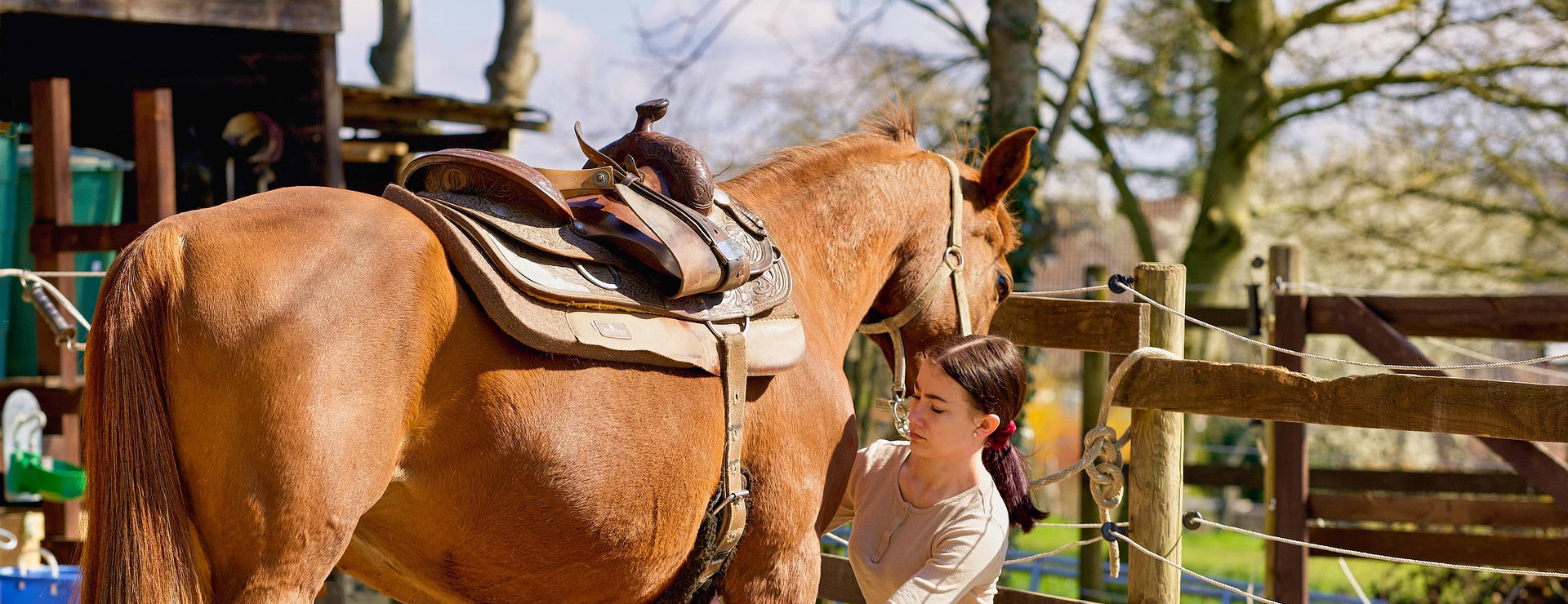 Saddle Shop -Saddle Shop horse 5033732 1920